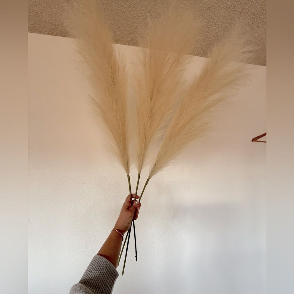 Cream large pampas grass - Picture 2 of 3